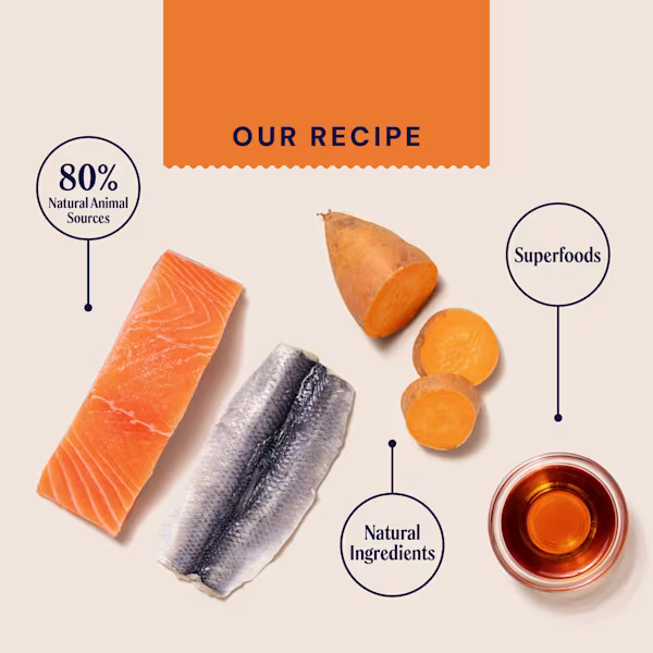 Primal Salmon & Herring Dry Cat Food