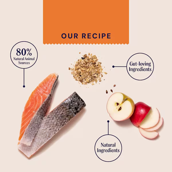 Primal Salmon Wet Cat Food