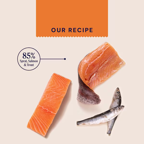 Primal Sprat & Salmon Fish Jerky For Cats