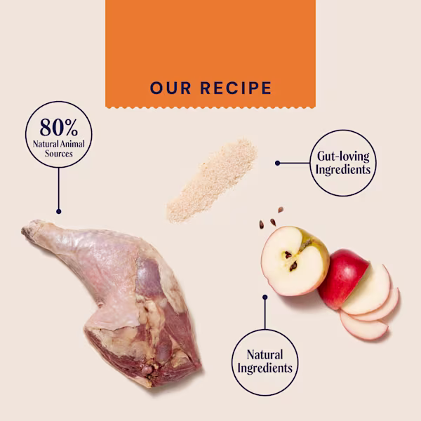 Primal Turkey Wet Cat Food