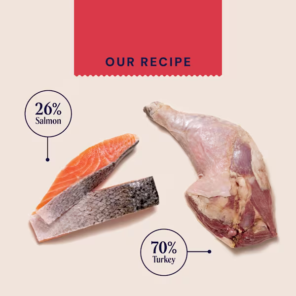 Turkey & Salmon Freeze Dried Dog Treats