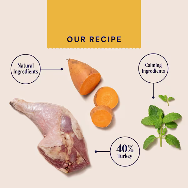 Dry Superfood For Adult Cats