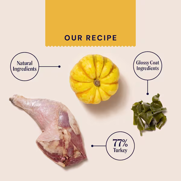 Wet Superfood For Adult Cats
