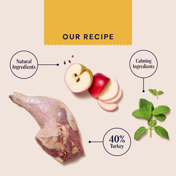 Dry Superfood For Indoor Cats