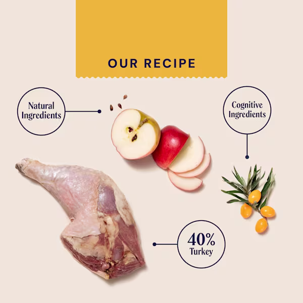 Dry Superfood For Kittens