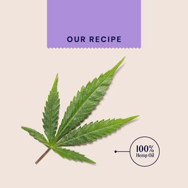 Hemp Oil For Dogs