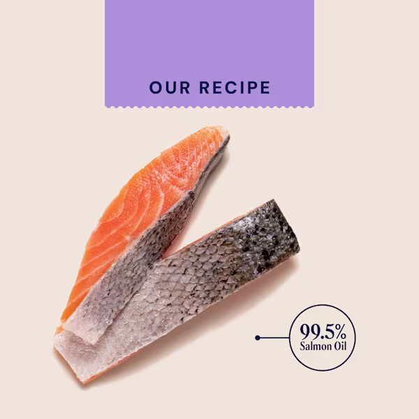 Salmon Oil For Dogs