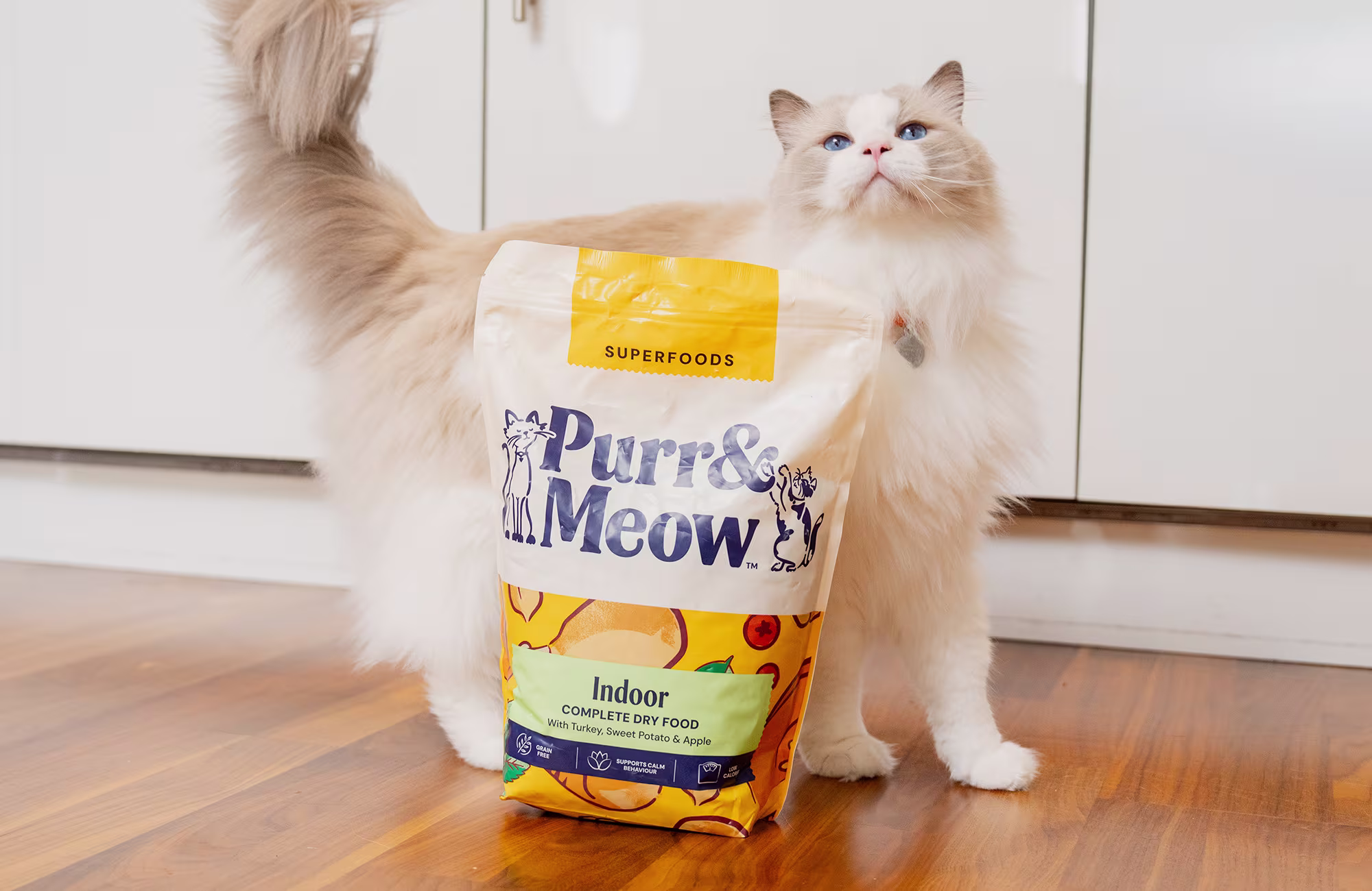 P&M WEB CAT COLLECTION BANNER INDOOR