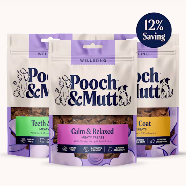 Meaty Treats Taster Pack