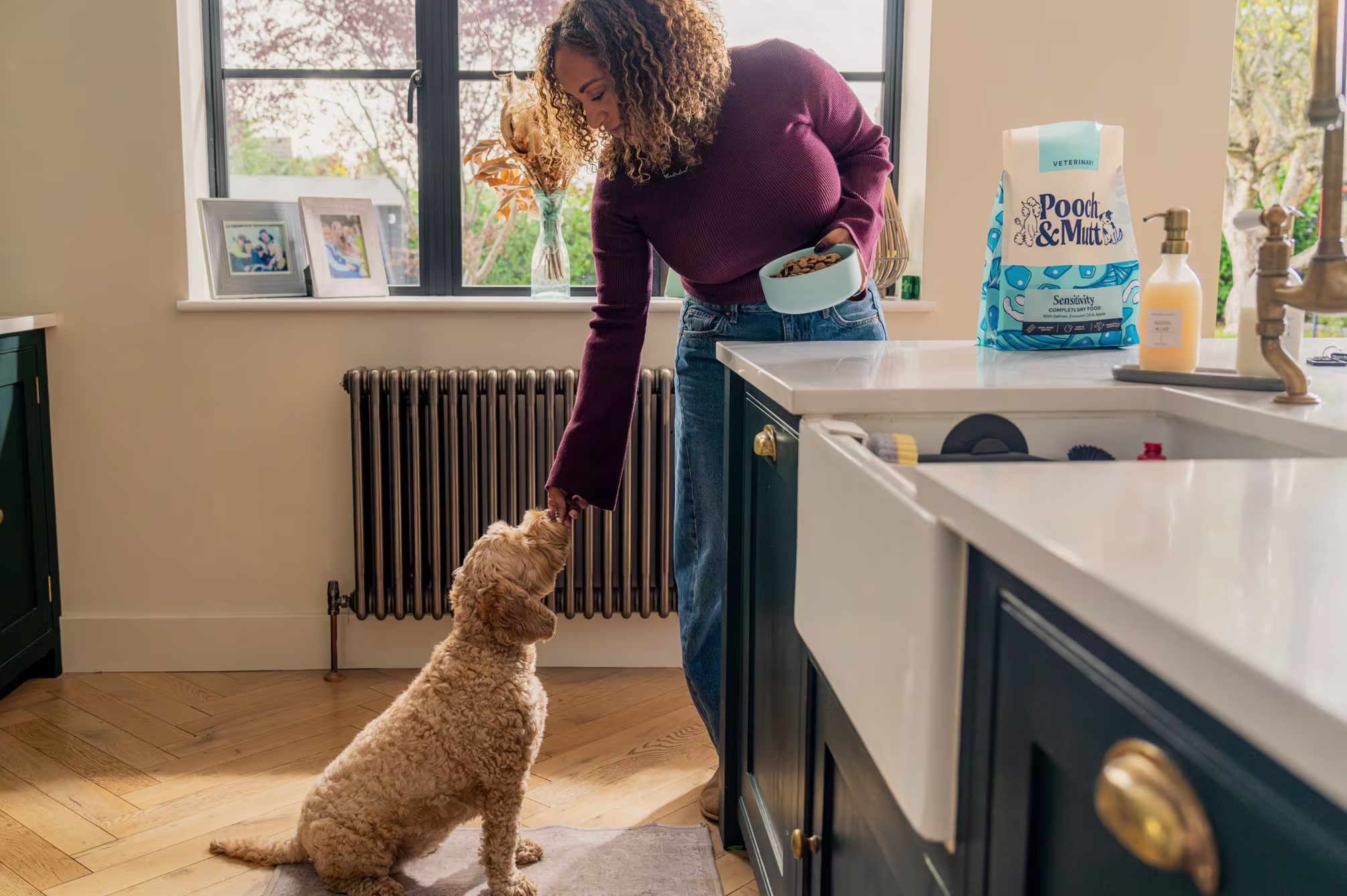 Sensitive Stomach Dog Food collection banner