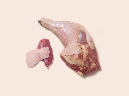 Turkey & Duck