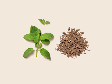 Catnip & Valerian