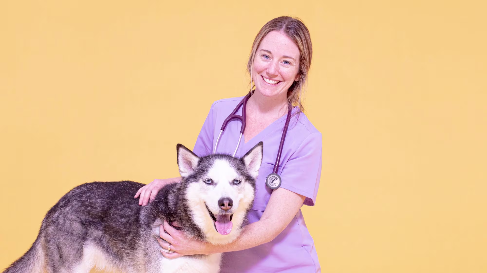 Everything you need to know  about hydrolysed dog food-Image 1