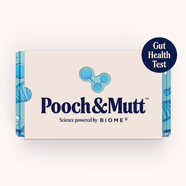Gut Health Test