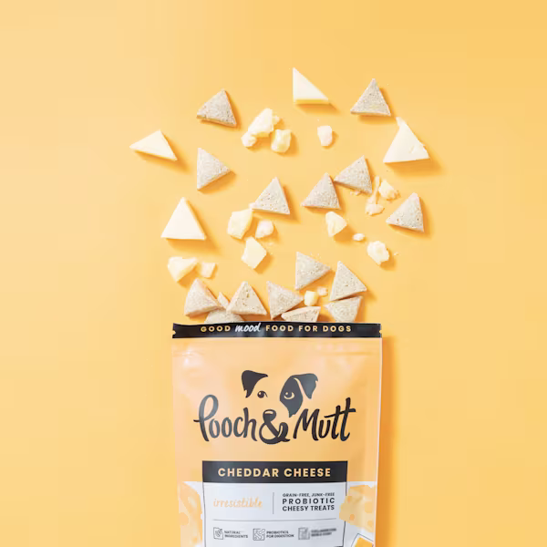 Cheddar Cheese Probiotic Treats Clearance 