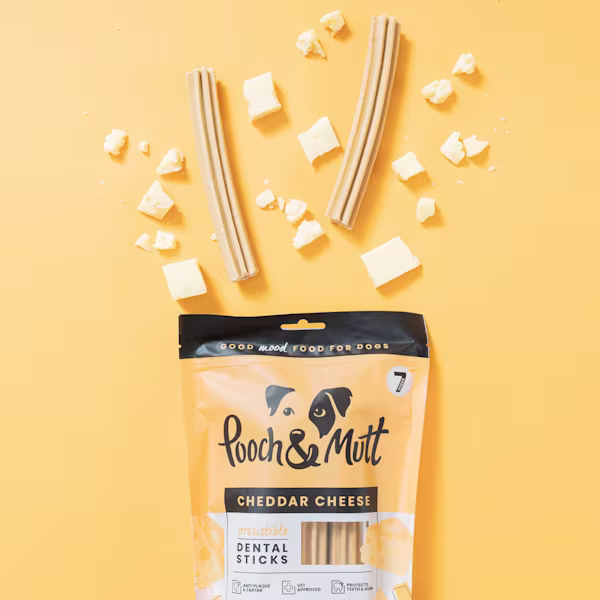 Cheddar Cheese Dental Sticks For Dogs Gift