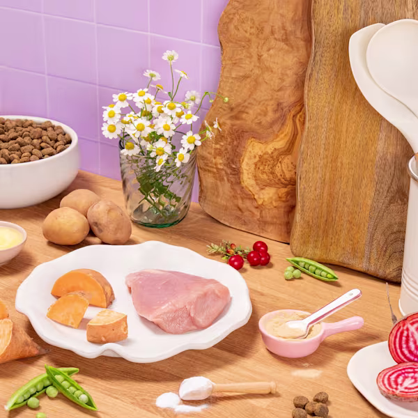 Health & Digestion Trial Pack
