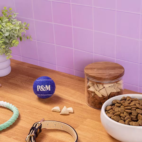 WELLBEING TOYS FETCH