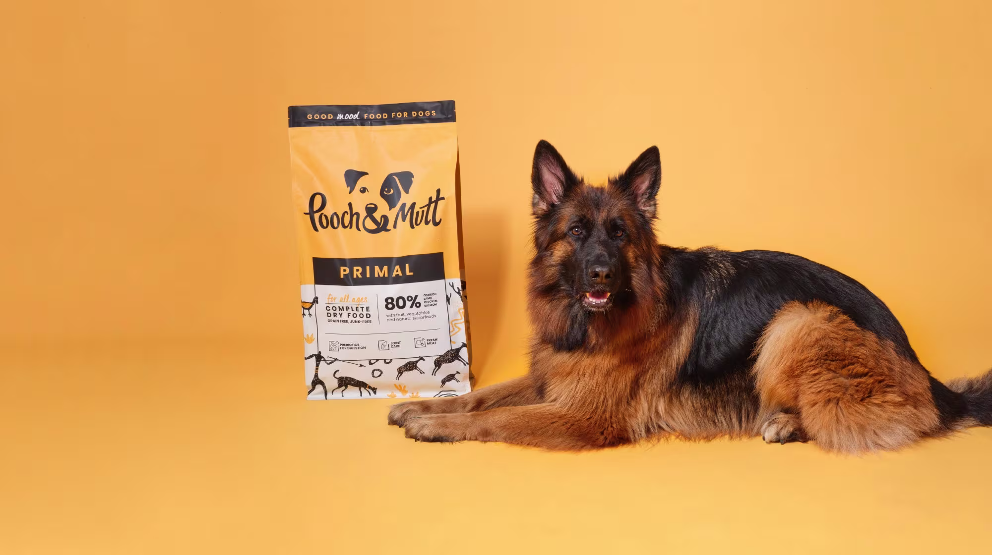 german shepherd dog lying down next do primal dog food