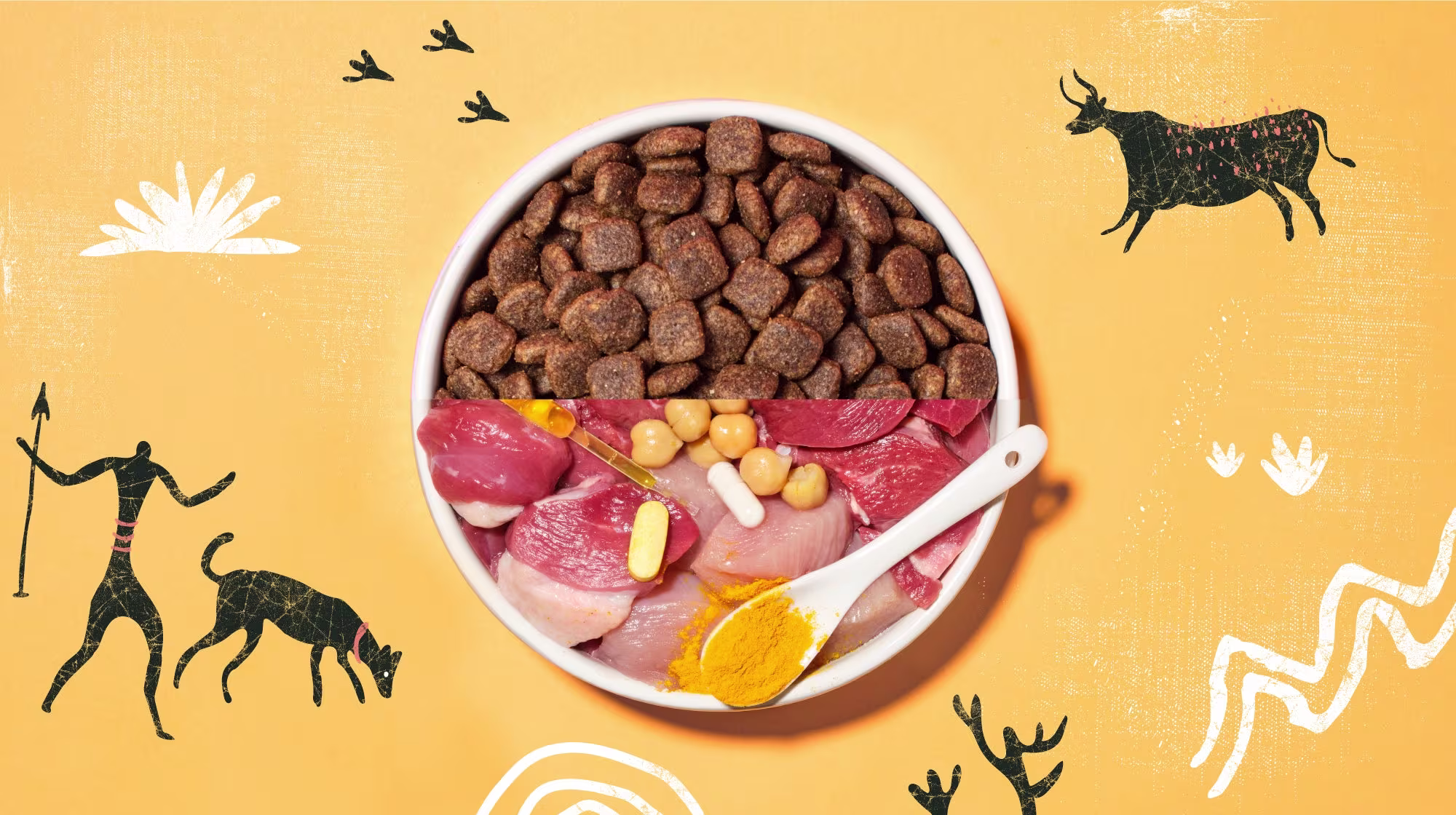 dog bowl showing kibble but then also fresh meat and vegetables 