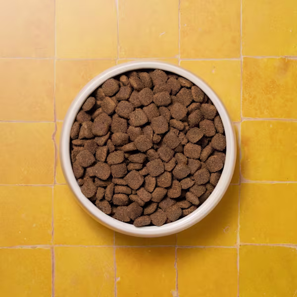 BOWLS ADULT FULL BOWL P&M REBRAND