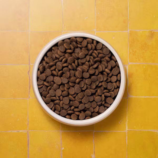 BOWLS PUPPY FULL BOWL P&M REBRAND