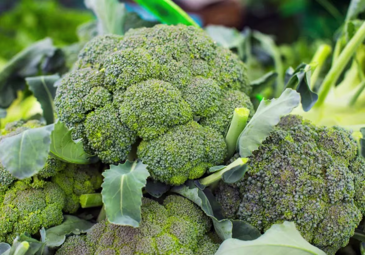 Broccoli 