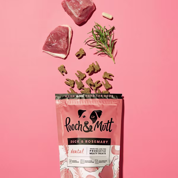 Dental Probiotic Meaty Treats Gift