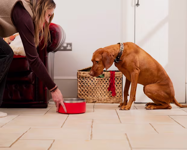 Returns made easy
