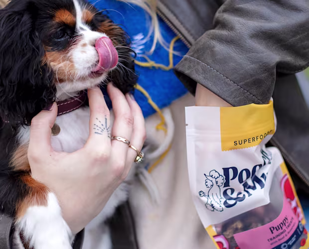 puppy training landing page secondary