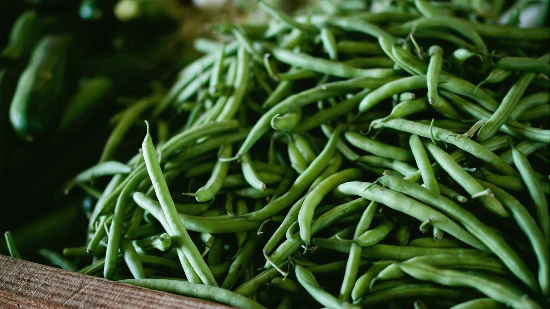 What human food can dogs eat & what foods are toxic?-Image 4