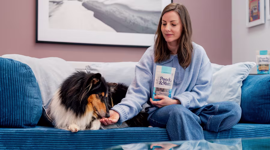 A dog owner feeds their dog from a packet of Pooch & Mutt Meaty Treats whilst sat on the sofa.