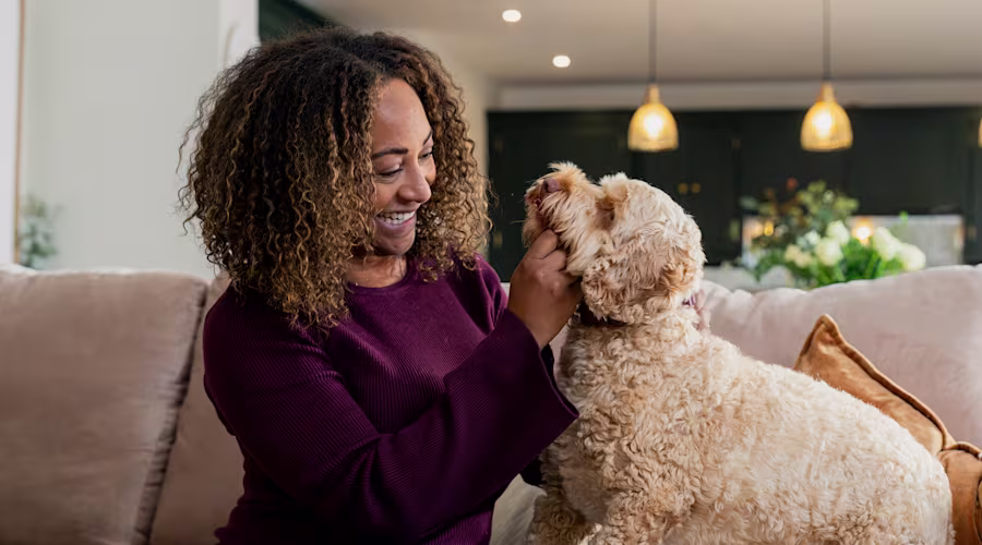 A dog owner in a purple jumper sits on a sofa, fussing their brown, fluffy dog.