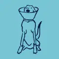 Veterinary Dogs Range