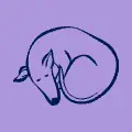 Wellbeing Dog Food Range